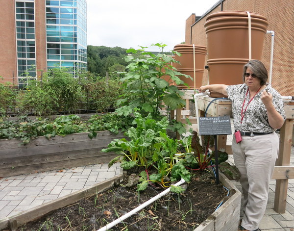 Karen Petroff in teaching garden on U. Maryland College Park campus