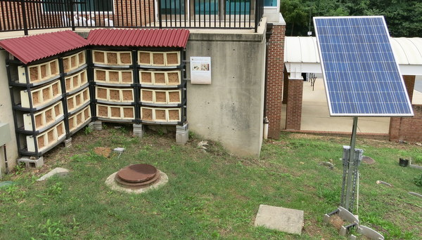 Bee hives and stormwater solutions on U. Maryland College Park campus